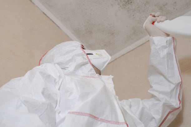 Best Emergency Mold Remediation in Mills, WY